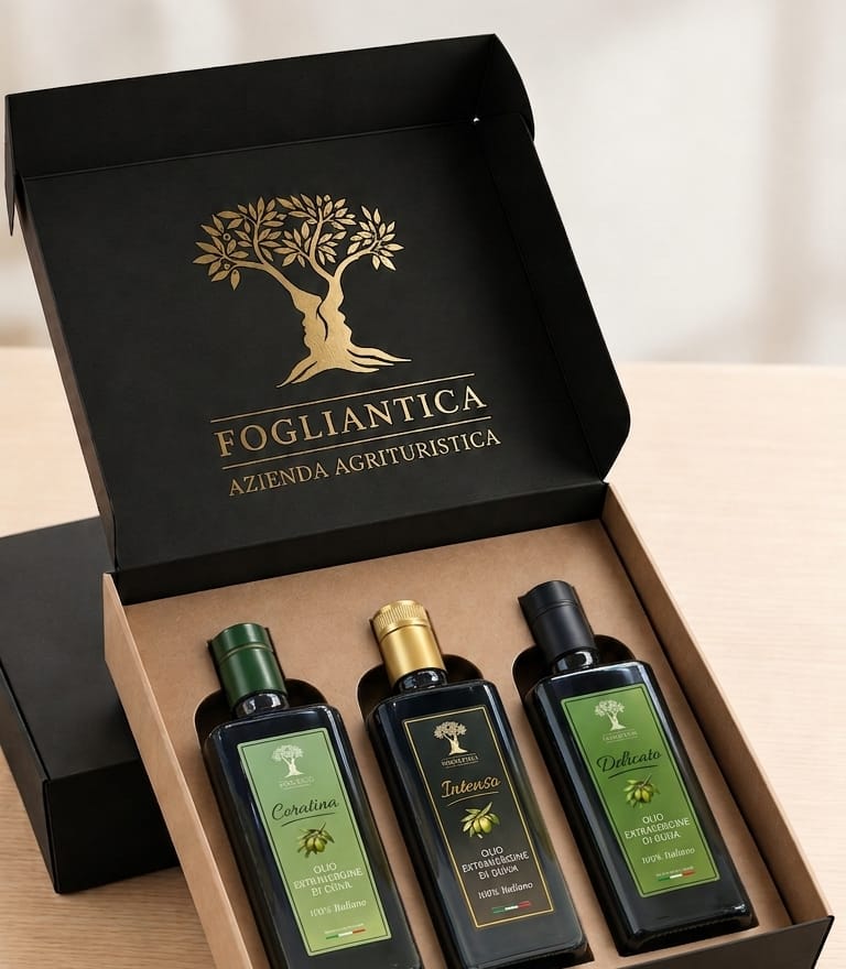 Die geöffnete Geschenkbox von Fogliantica auf einem Holztisch: drei Flaschen Olivenöl extra vergine — Coratina, Intenso und Delicato — im Kraftkarton, im Deckel das goldene Baumzeichen
